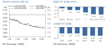 "美폭락했지만, 경기침체는 아직…관망·선별 분할매수"