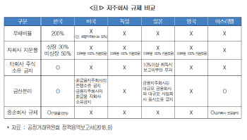 대한상의 "지주회사 규제는 '신발 속 돌멩이'...개선 필요"