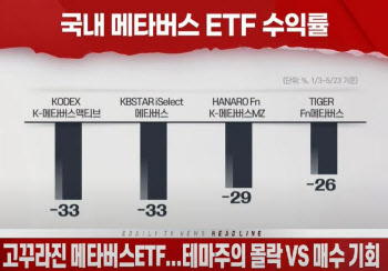 (영상)고꾸라진 메타버스ETF...테마주의 몰락 VS 매수기회