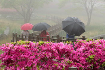 '우산 챙기세요' 전국 대부분 비…기온 2~5도 떨어져