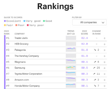 삼성, 미국 내 기업평판 6위·외국기업 중 1위