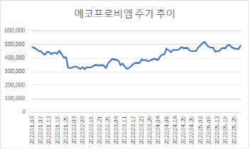 테슬라를 보라…그래도 믿을 건 '2차전지'