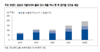 에스제이그룹. 하반기 신규 브랜드 론칭…추가 성장 가능-NH