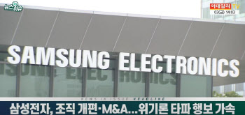 (영상)삼성전자, 조직 개편·M&A...위기론 타파 행보 가속