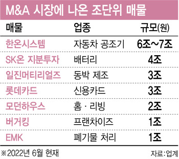 새 주인 찾는 조단위 매물 21조…M&A ‘핫 서머’ 막 올랐다