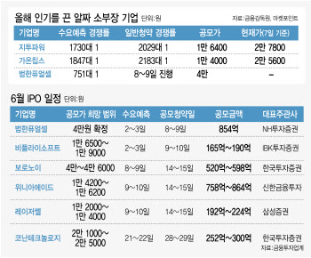 IPO 침체에도 '소부장'은 통한다…6월도 '옥석가리기'