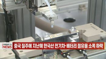 (영상)중국 질주에 지난해 한국산 전기차·배터리 점유율 소폭 하락