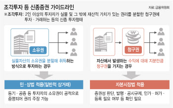 금융당국 조각투자 가이드라인 마련…'옥석가리기' 시작