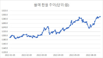 1300원까지 넘 보는 원달러 환율…2009년 금융위기 후 최고