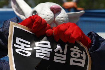 한국, 동물실험 횟수 최대기록 갱신 '고통 등급'도 역대급