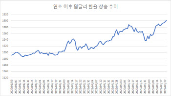 당국개입에도 속수무책…"1300원 무너진 환율, 1350원도 위태"