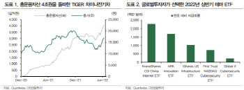 "테마형 ETF 부진 속 해외형 자금 유입…中인터넷·美인프라 주목"