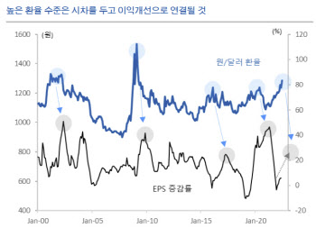 "코스피 이익 둔화 선 반영…하반기 변수는 환율"