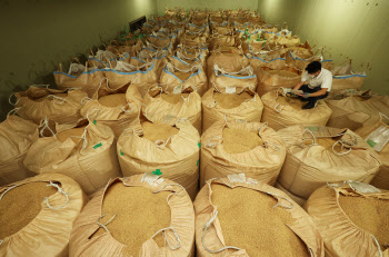 정부, 쌀 10만t 추가 시장격리…농업계 “환영”