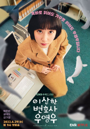 드라마 '우영우' 인기…에이스토리 5거래일 연속 강세