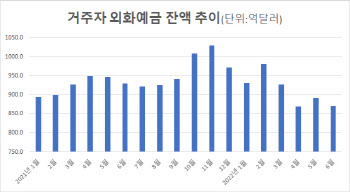 '달러값 올랐으니 팔자'…거주자 외화예금 한 달 만에 감소