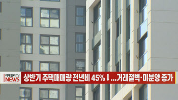 (영상)상반기 주택매매량 전년비 45%↓...거래절벽·미분양 증가