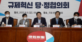당정 '발목 모래주머니' 환경·경제형벌 규제 개혁 추진(종합)
