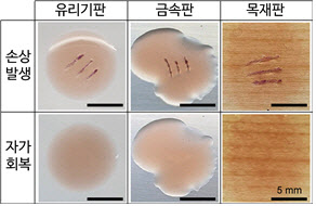 KIST “손상부위 변색·스스로 회복하는 코팅소재 개발”