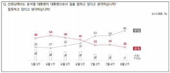 尹대통령, 국정운영 긍정 평가 28%…최저치로 폭삭