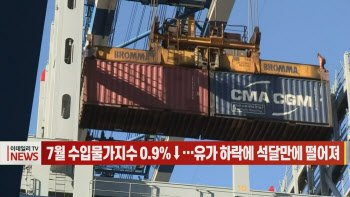 (영상)7월 수입물가지수 0.9%↓…유가 하락에 석달만에 떨어져