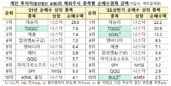 금감원 "개인 해외주식 투자시, 단기 고수익 기대 위험"