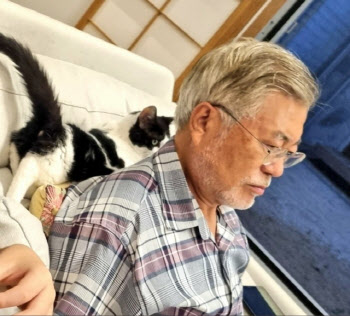 文 딸 다혜씨가 올린 일상…"한국판 고양이와 할아버지"