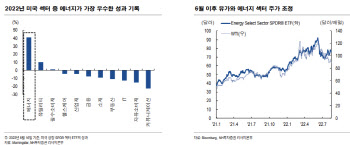 "美에너지섹터, 올해 수익률 가장 높아…어떤 ETF 있나"