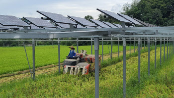 농지 위 ‘태양광 발전소’…탄소중립 힘 보태고 농가소득 늘렸다