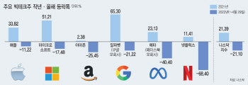 '안전자산' 같더니, 요즘 빅테크주 왜 이러나