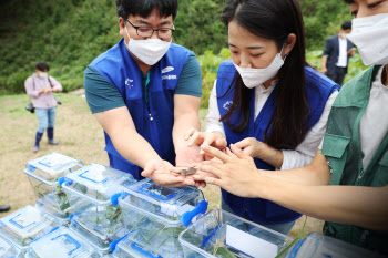 삼성디스플레이, 멸종 위기종 '물장군' 살리기 나섰다…녹색기업 재지정