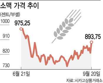 식량난 위기 속 곡물가 다시 들썩… 업종별 전망 희비