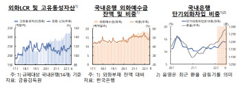 한은 "금융위기급 충격 와도 외화유동성 버텨…리스크 관리는 필요"