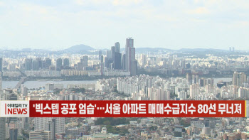(영상)'빅스텝 공포 엄습'…서울 아파트 매매수급지수 80선 무너져