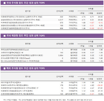 美긴축 칼날에 증시 냉각…인버스 펀드 '미소'