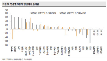"내년 실적 대폭 하향조정 필요…이익모멘텀 사수 종목은?"