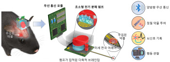 칩 하나로 생쥐 조종한다