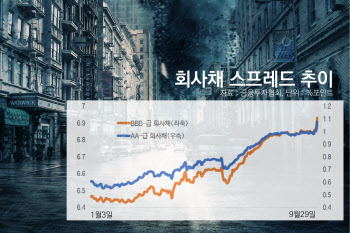 다시 등장한 증안펀드…채안펀드도 가동할까