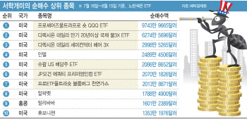 한국서 못하는 3배 추종도? 서학개미도 ETF 삼매경