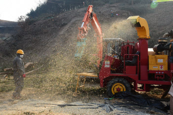 "매년 수십명의 노동자들이 산림사업 현장서 사망"