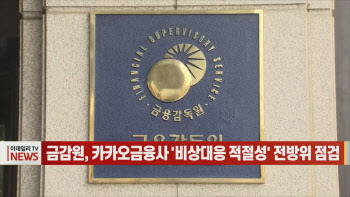 (영상)금감원, 카카오금융사 '비상대응 적절성' 전방위 점검