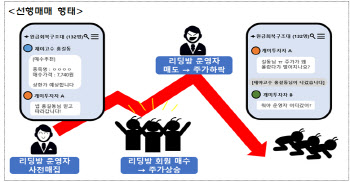 금감원, 주식리딩방 불공정거래 혐의 포착…"투자 유의"