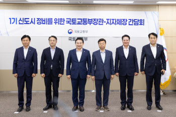 1기 신도시 정비 선도지구, 지역별 한 곳 이상 지정한다