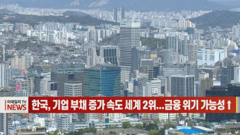 (영상)한국, 기업 부채 증가 속도 세계 2위...금융 위기 가능성↑