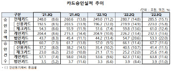 올 3분기 카드승인액 285.5조…작년보다 15.1% 늘었다