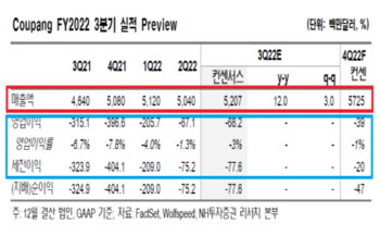 3분기 실적도 기대되는 쿠팡…신사업·해외부문에 주목 (영상)