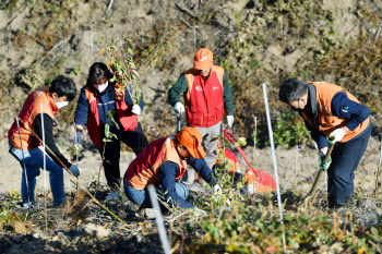 SK이노, 울주군 산불 피해지역에 산벚나무 4000그루 심어