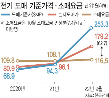 "내년 전기료 최소 30% 올려야…'최악 적자' 한전 버틸 수 있어”