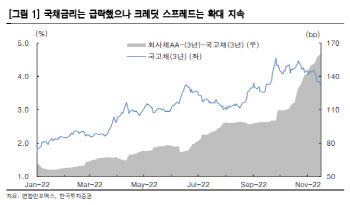 "국채시장 강세에도 온기 확산 아직…국책은행 적극 나서야"