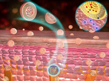 코스맥스 양이온 리포좀 피부전달체, 산업부 선정 ‘세계일류상품’ 선정